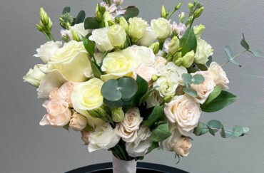'.esc_attr__('image', 'camelia').'